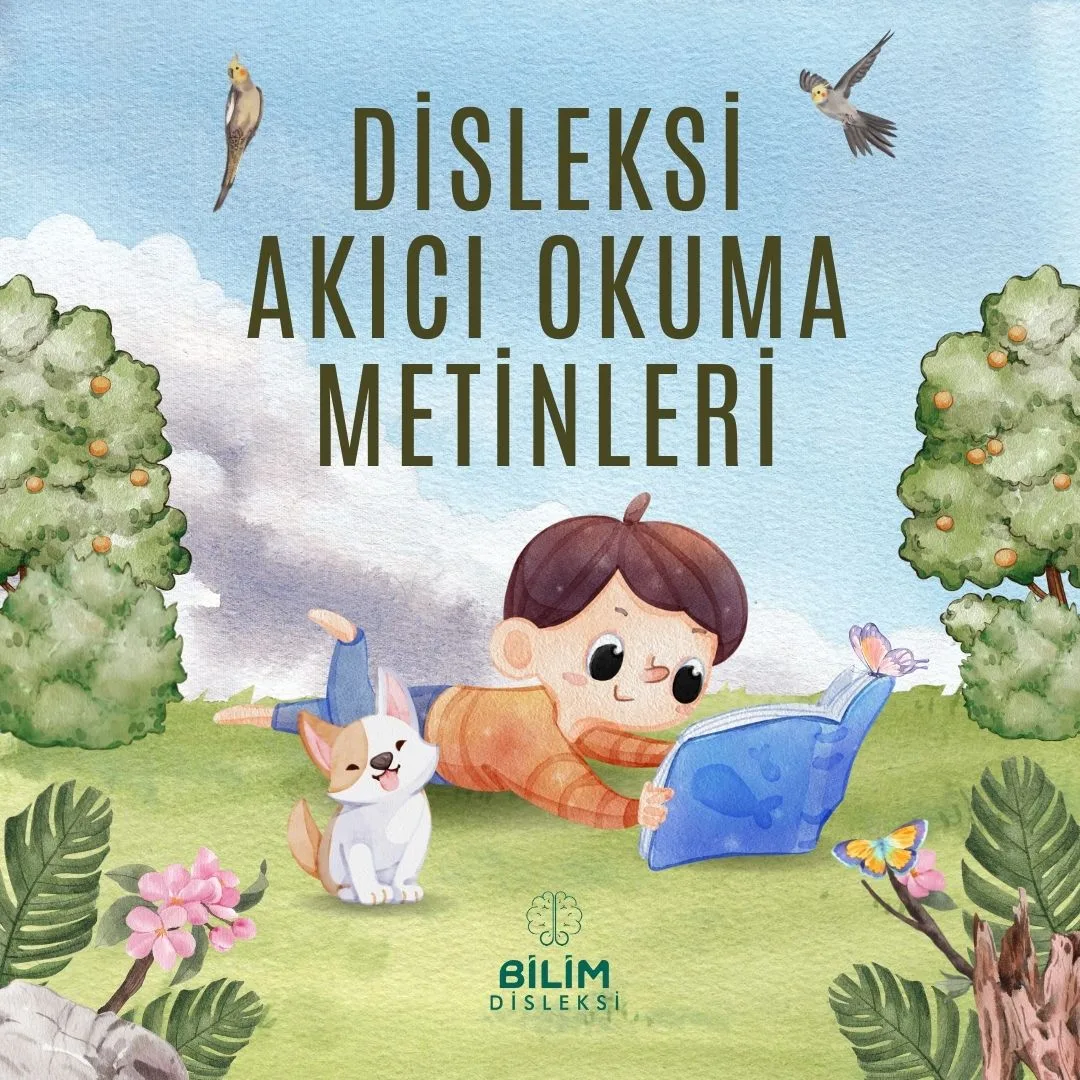 Disleksi Akıcı Okuma Metinleri